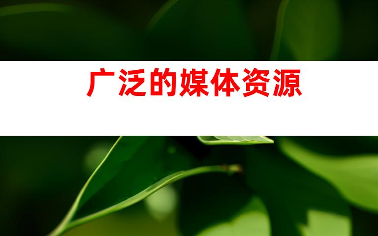 广泛的媒体资源