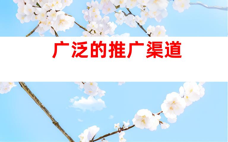 广泛的推广渠道