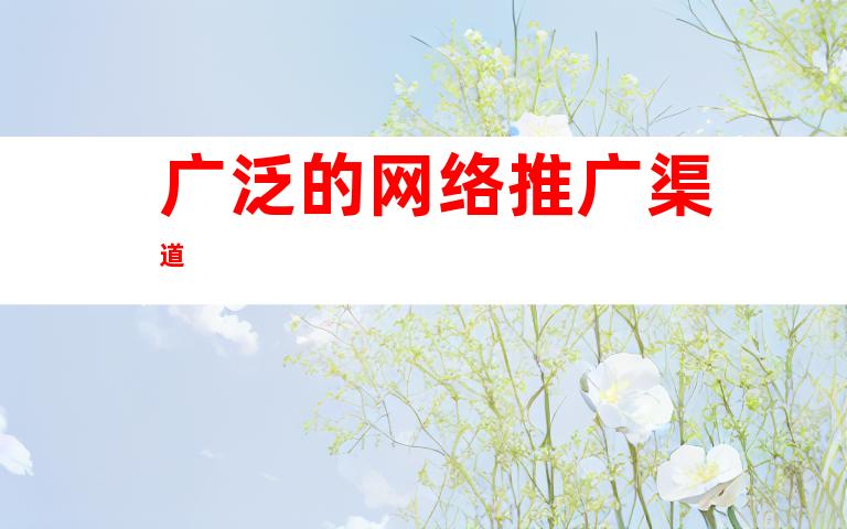 广泛的网络推广渠道