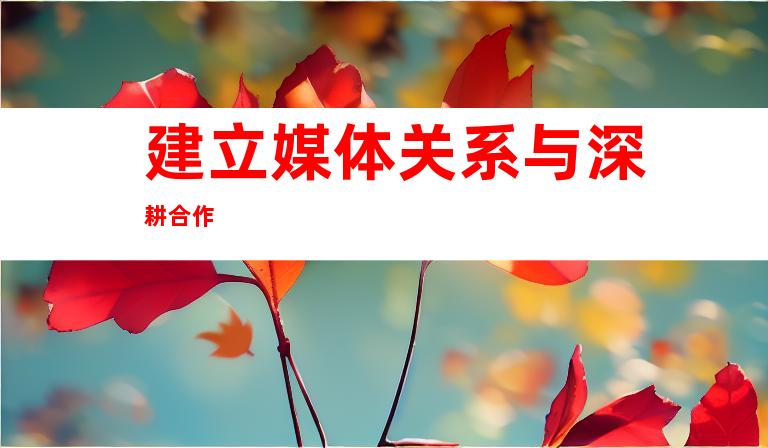 建立媒体关系与深耕合作