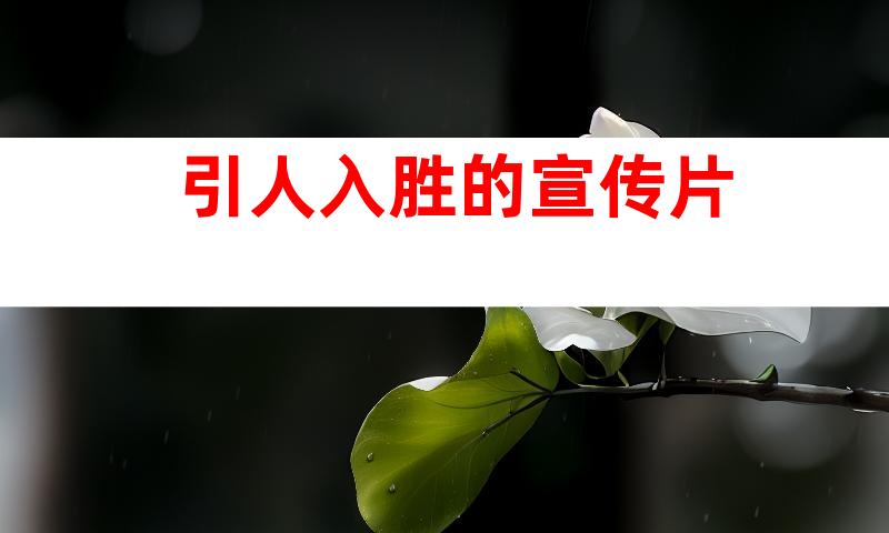 引人入胜的宣传片