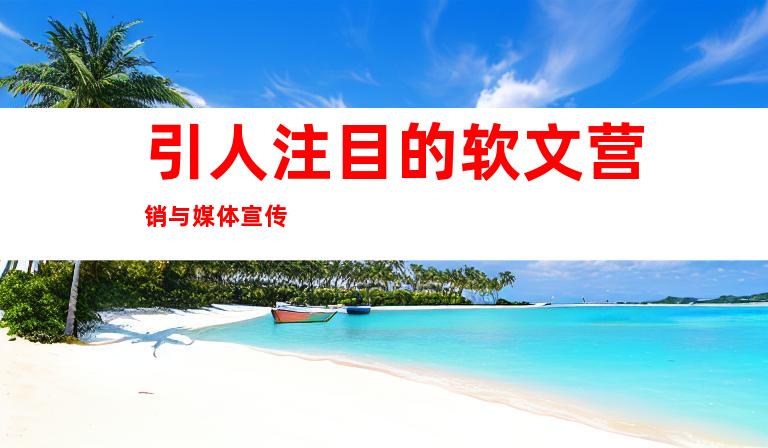 引人注目的软文营销与媒体宣传