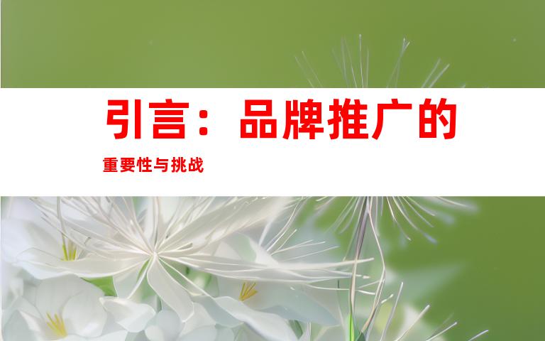 引言：品牌推广的重要性与挑战