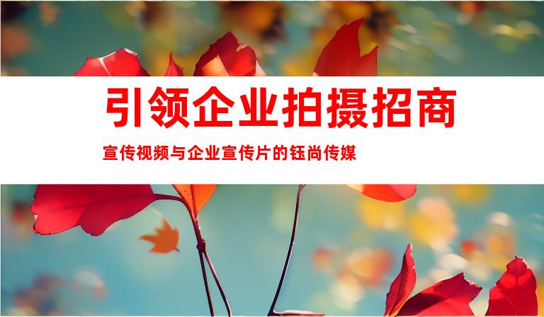 引领企业拍摄招商宣传视频与企业宣传片的钰尚传媒