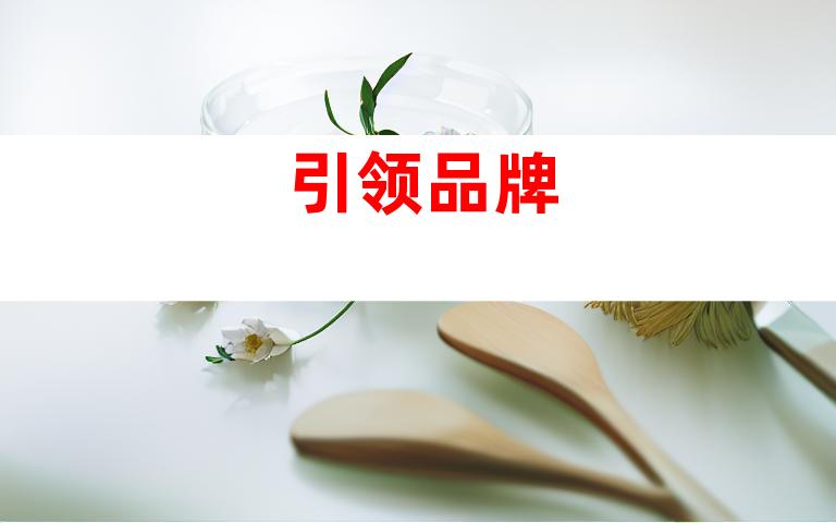 引领品牌
