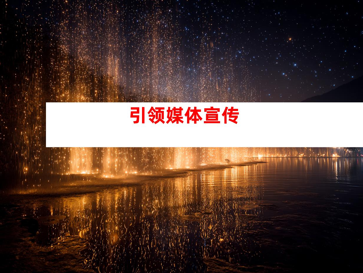 引领媒体宣传