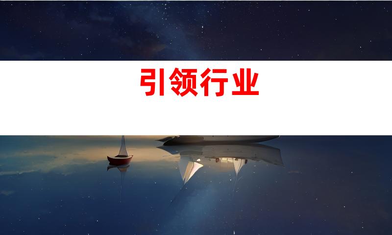 引领行业
