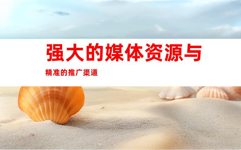 强大的媒体资源与精准的推广渠道