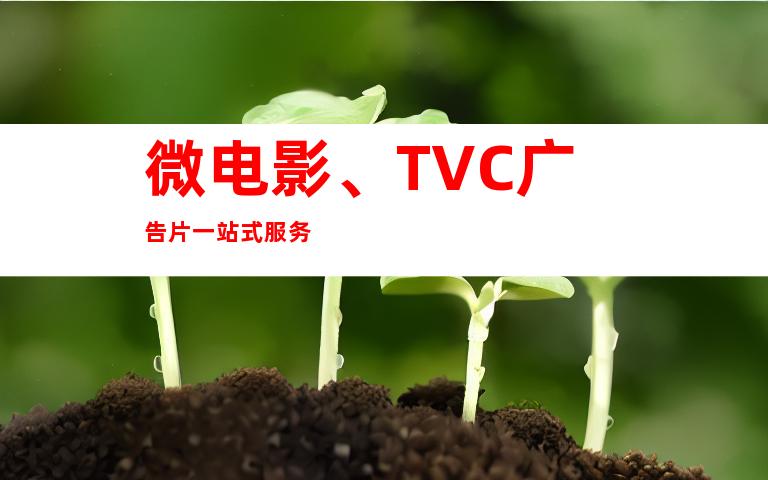 微电影、TVC广告片一站式服务