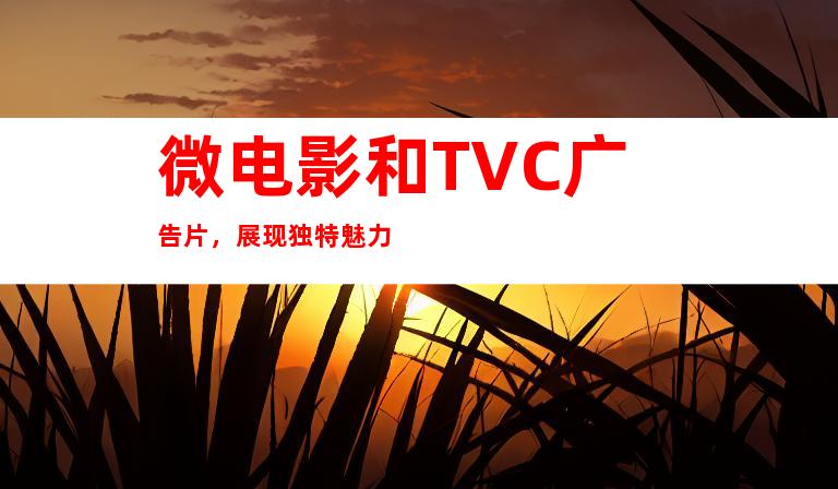 微电影和TVC广告片，展现独特魅力
