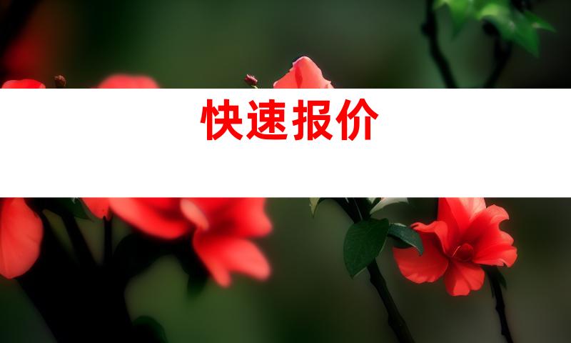 快速报价