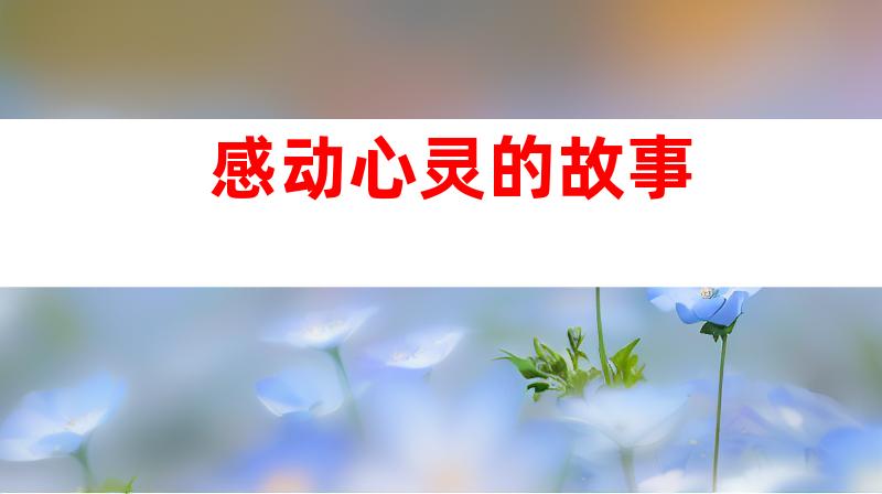 感动心灵的故事