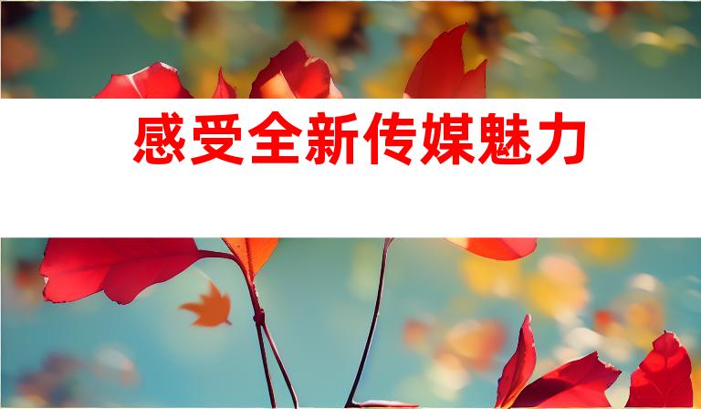 感受全新传媒魅力