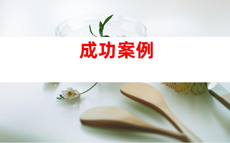 成功案例