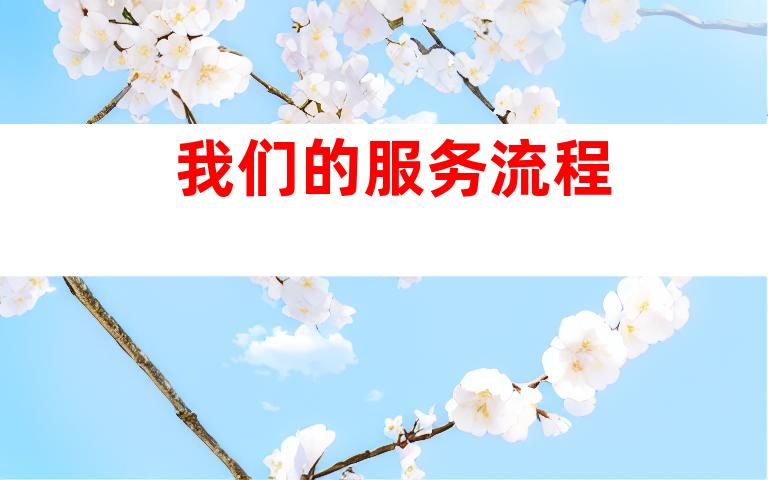 我们的服务流程