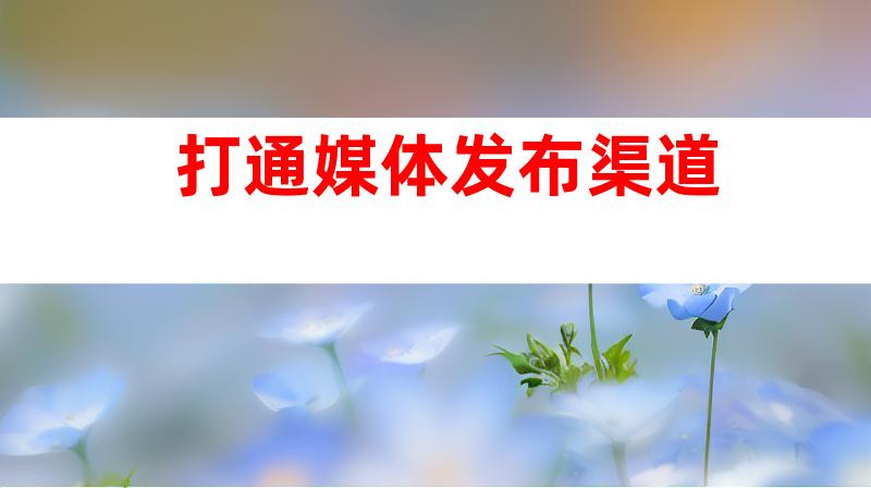 打通媒体发布渠道