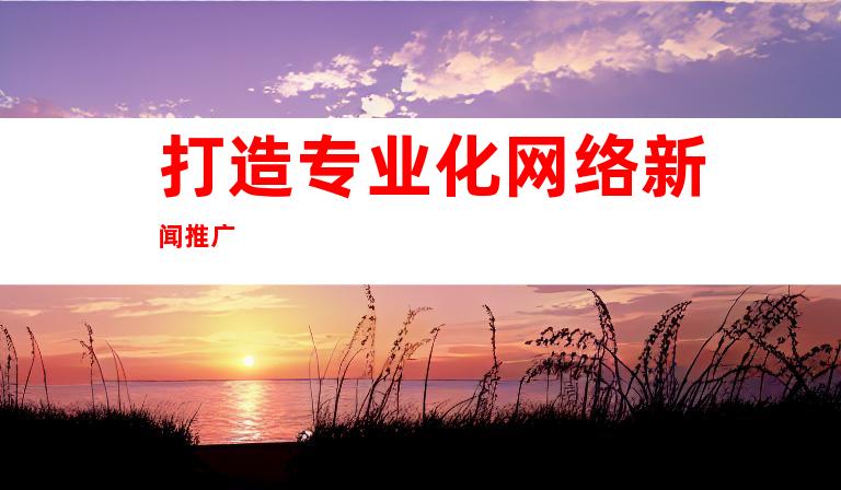 打造专业化网络新闻推广