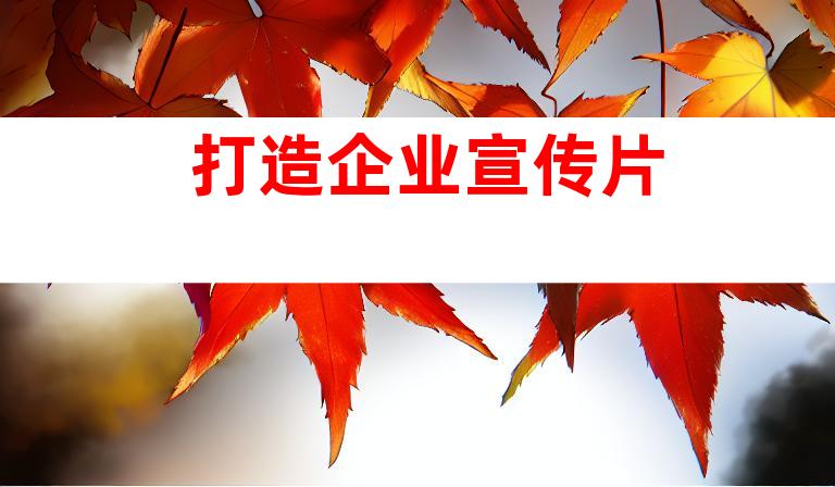 打造企业宣传片