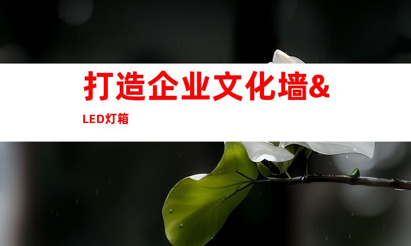 打造企业文化墙&LED灯箱