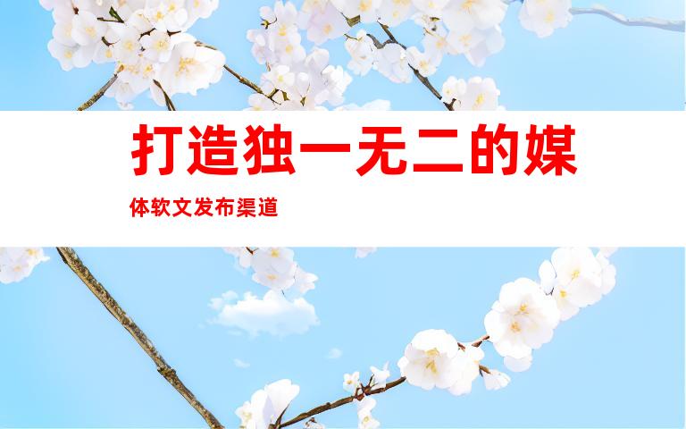 打造独一无二的媒体软文发布渠道