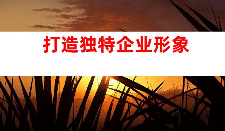 打造独特企业形象