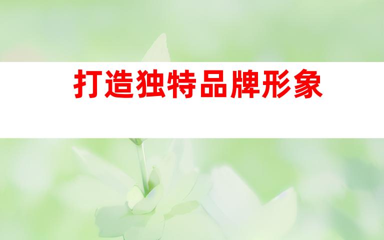 打造独特品牌形象