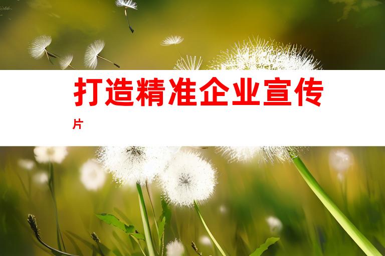 打造精准企业宣传片