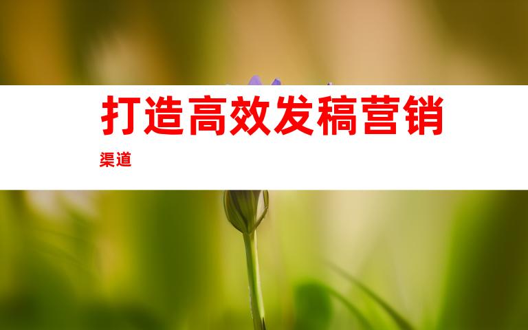 打造高效发稿营销渠道