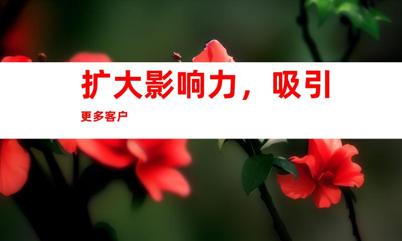 扩大影响力，吸引更多客户