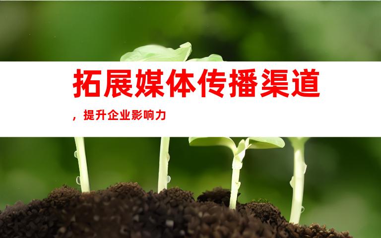拓展媒体传播渠道，提升企业影响力