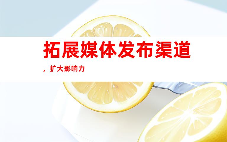 拓展媒体发布渠道，扩大影响力