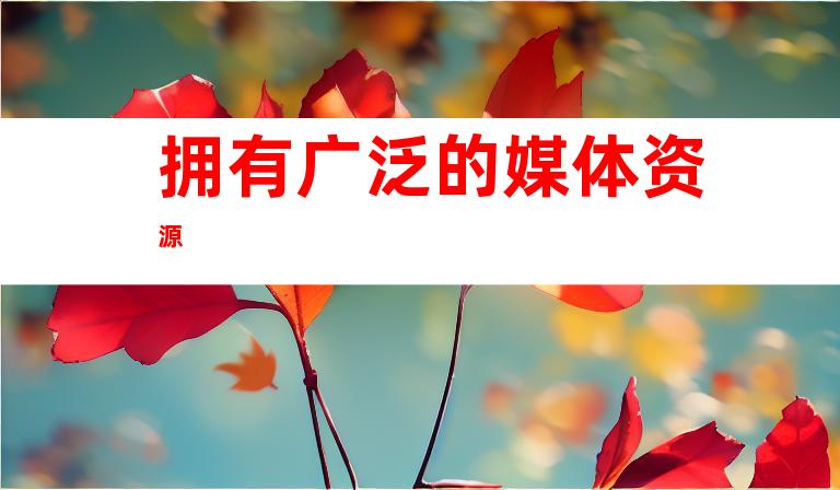 拥有广泛的媒体资源