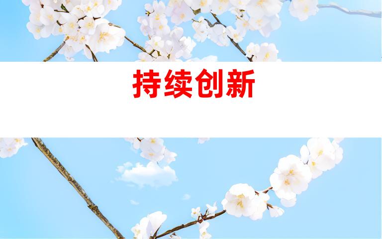 持续创新
