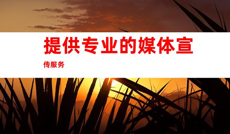 提供专业的媒体宣传服务