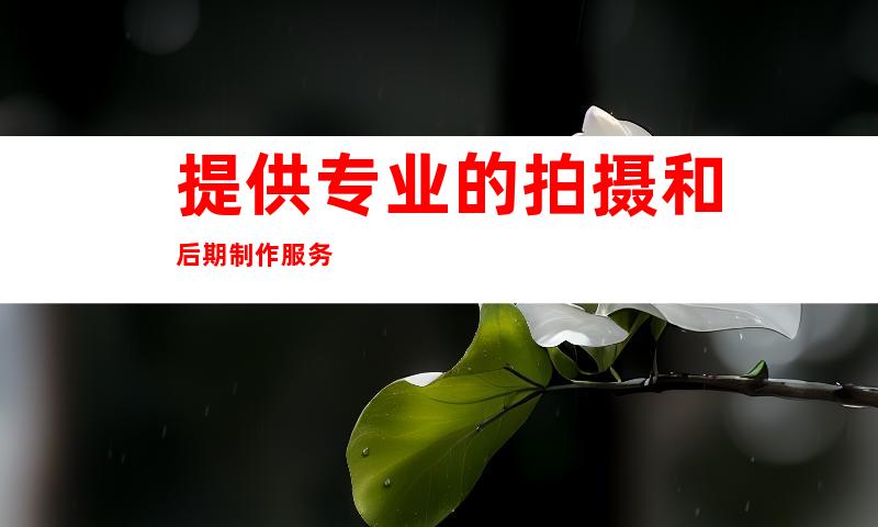 提供专业的拍摄和后期制作服务