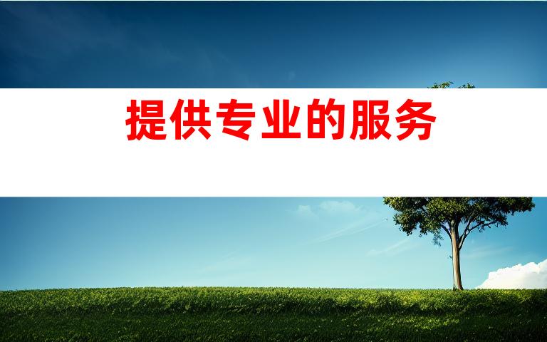 提供专业的服务