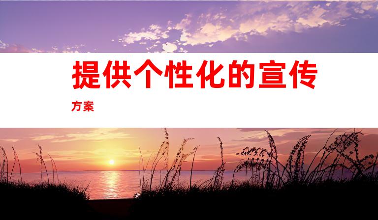 提供个性化的宣传方案