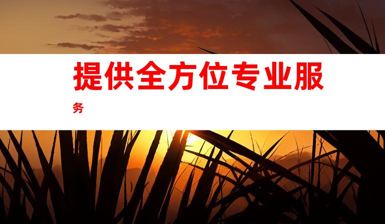 提供全方位专业服务