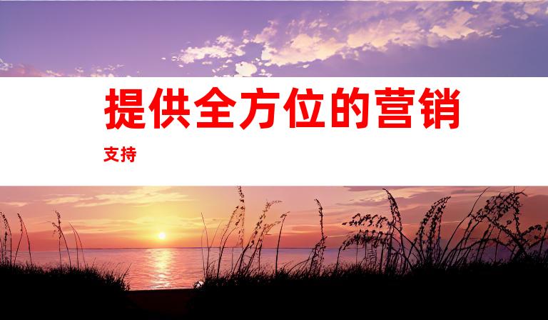 提供全方位的营销支持