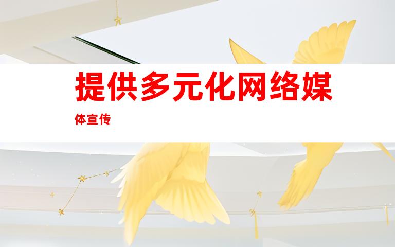 提供多元化网络媒体宣传