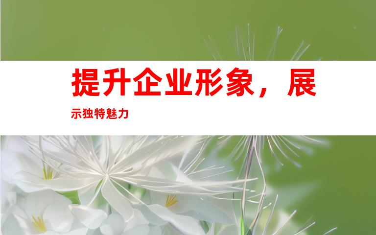 提升企业形象，展示独特魅力
