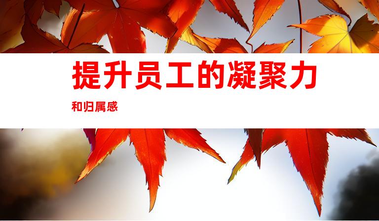 提升员工的凝聚力和归属感
