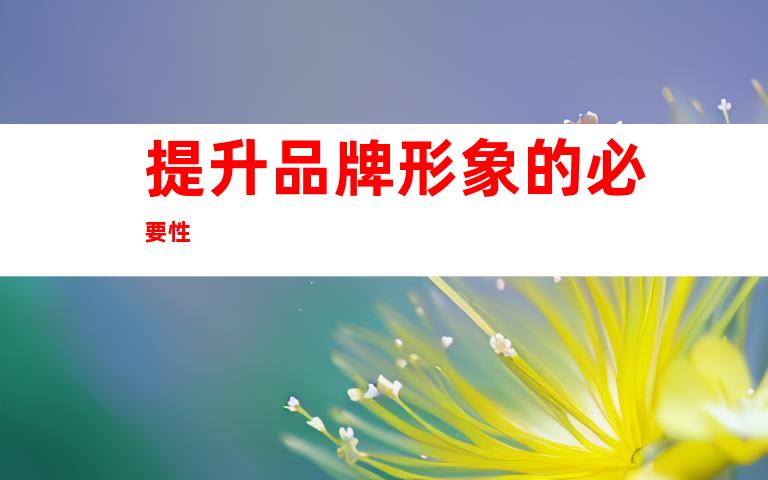 提升品牌形象的必要性