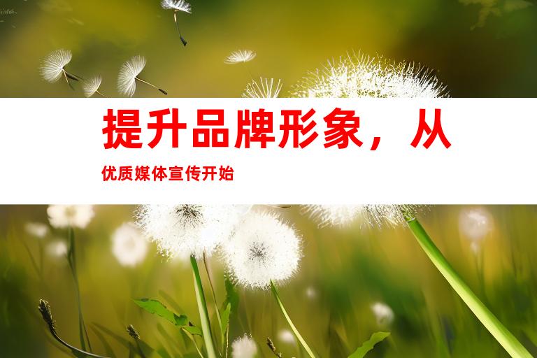 提升品牌形象，从优质媒体宣传开始