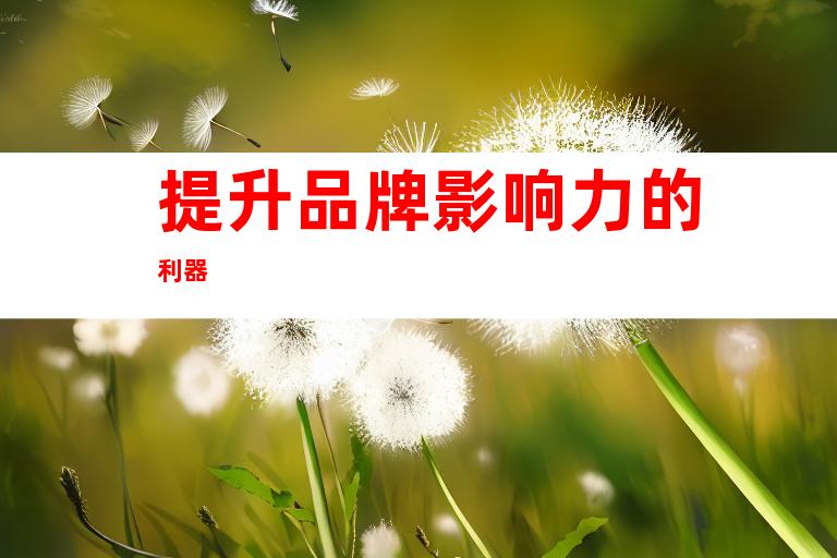 提升品牌影响力的利器