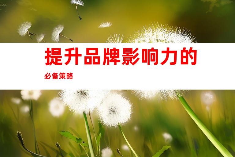 提升品牌影响力的必备策略