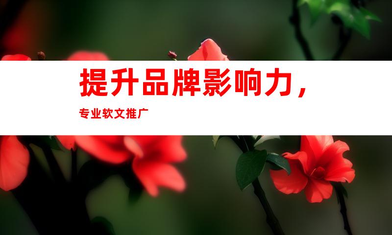 提升品牌影响力，专业软文推广