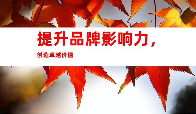 提升品牌影响力，创造卓越价值