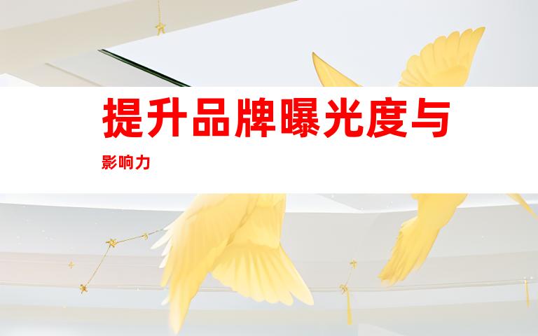 提升品牌曝光度与影响力