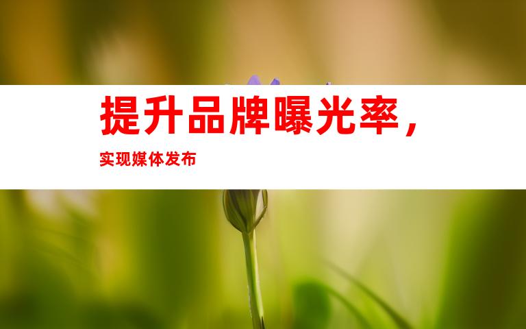 提升品牌曝光率，实现媒体发布